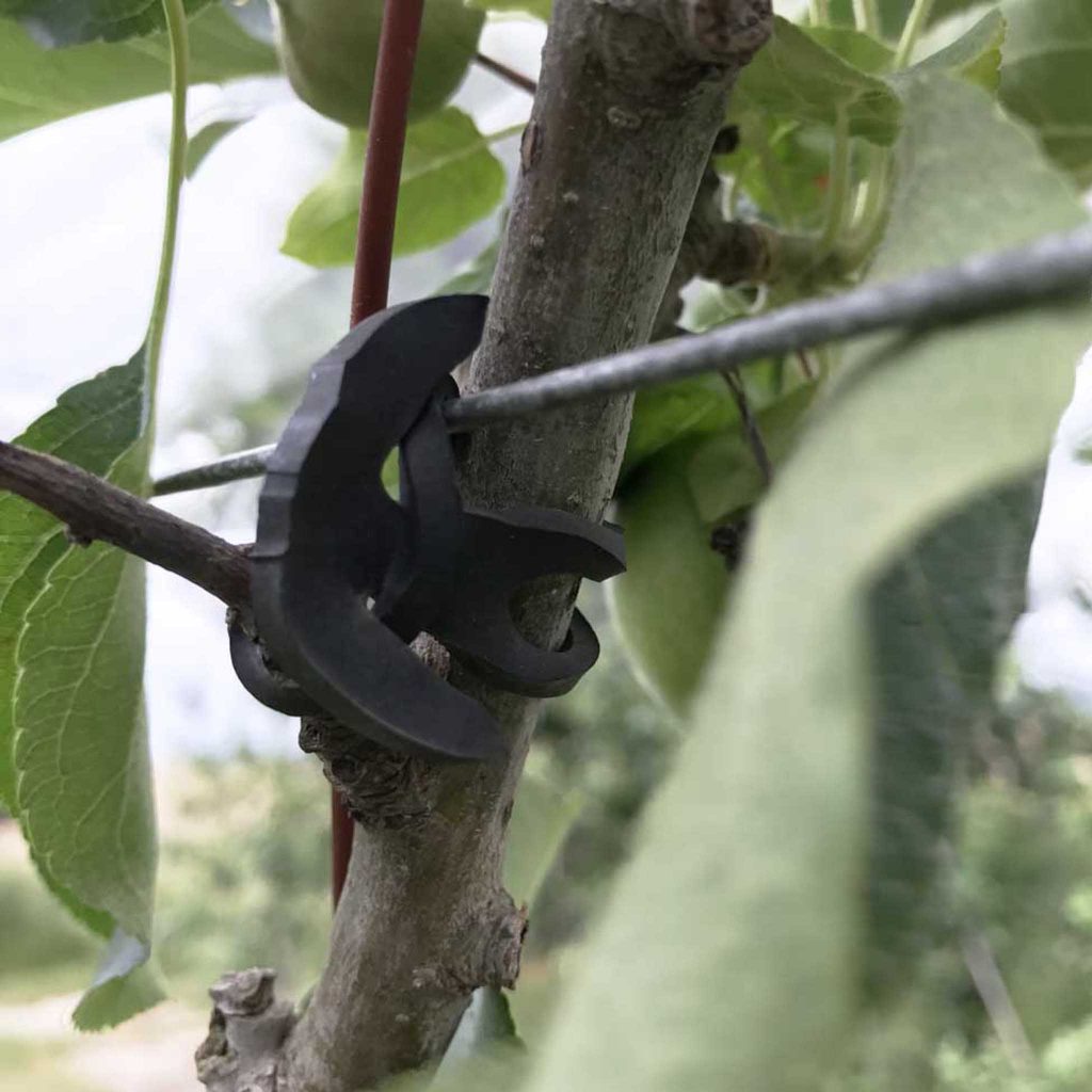 Ancre en caoutchouc LONNEO pour lier plants et fils